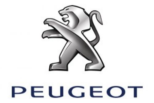 Peugeot Yedek Parça